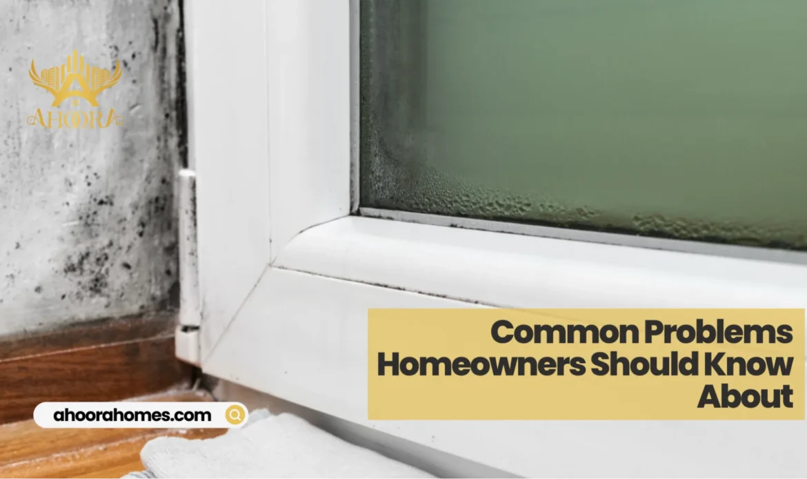 Common structural framing problems homeowners should know when choosing the best framing for home renovation